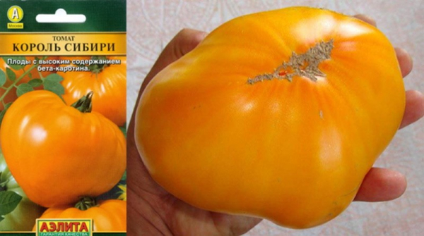 Семена лучших сортов томатов для Сибири для получения щедрого урожая